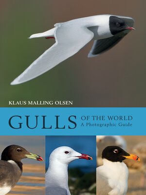 cover image of Gulls of the World